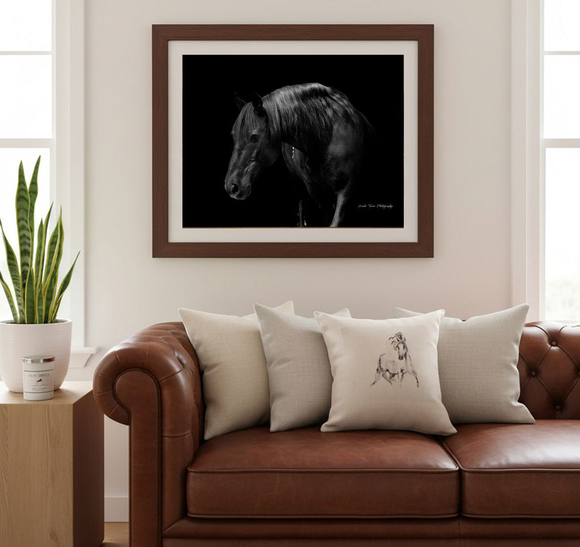 Home Decor, Photography & Artwork