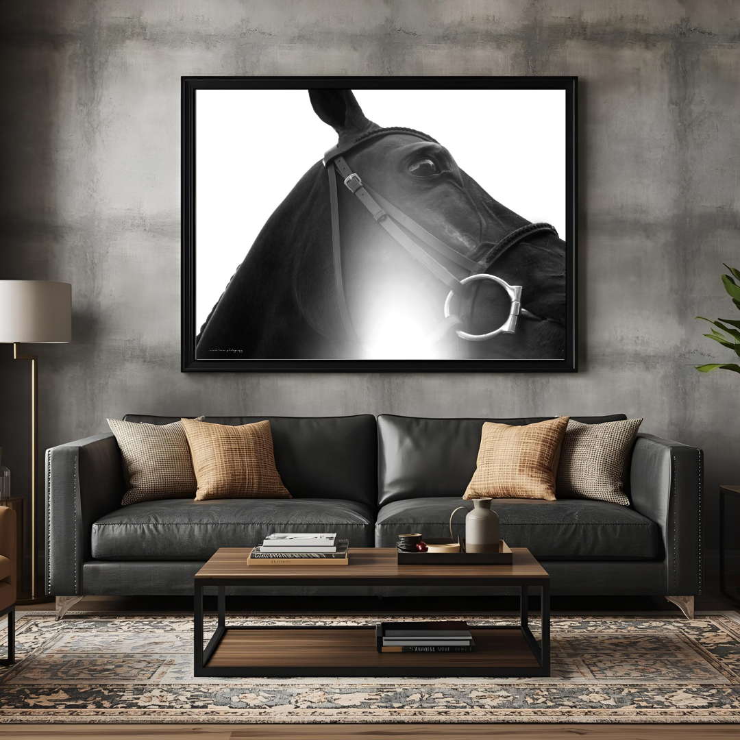 Artwork & Photography