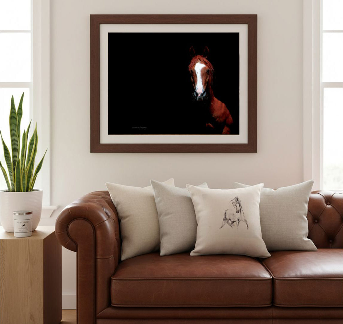 Giftware & Accessories