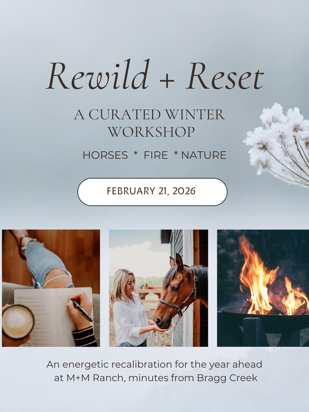 Rewild & Reset Winter Series - Workshop 1 - Ground & Align