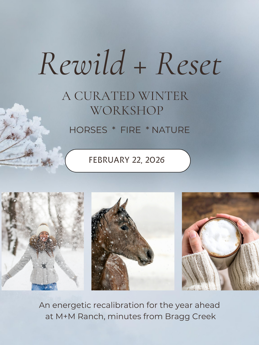 Rewild & Reset Winter Series - Workshop 2 - Energy & Mindset