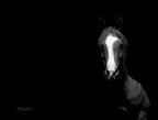 The Red Mare