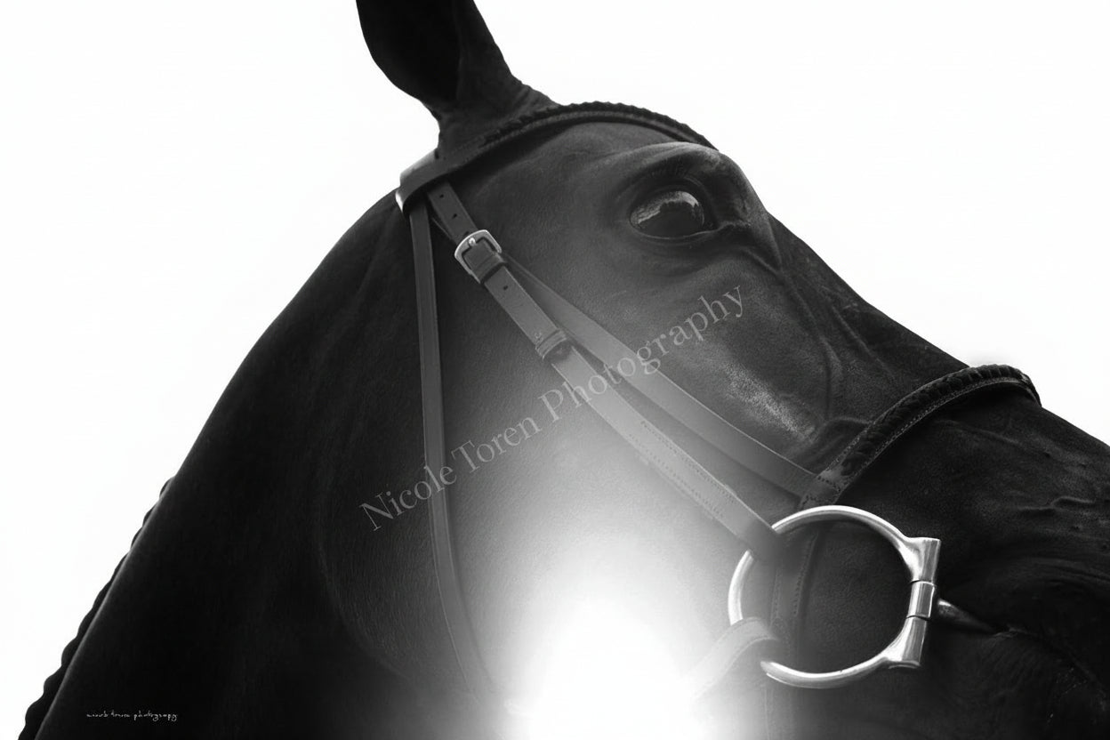 Contemplating Victory