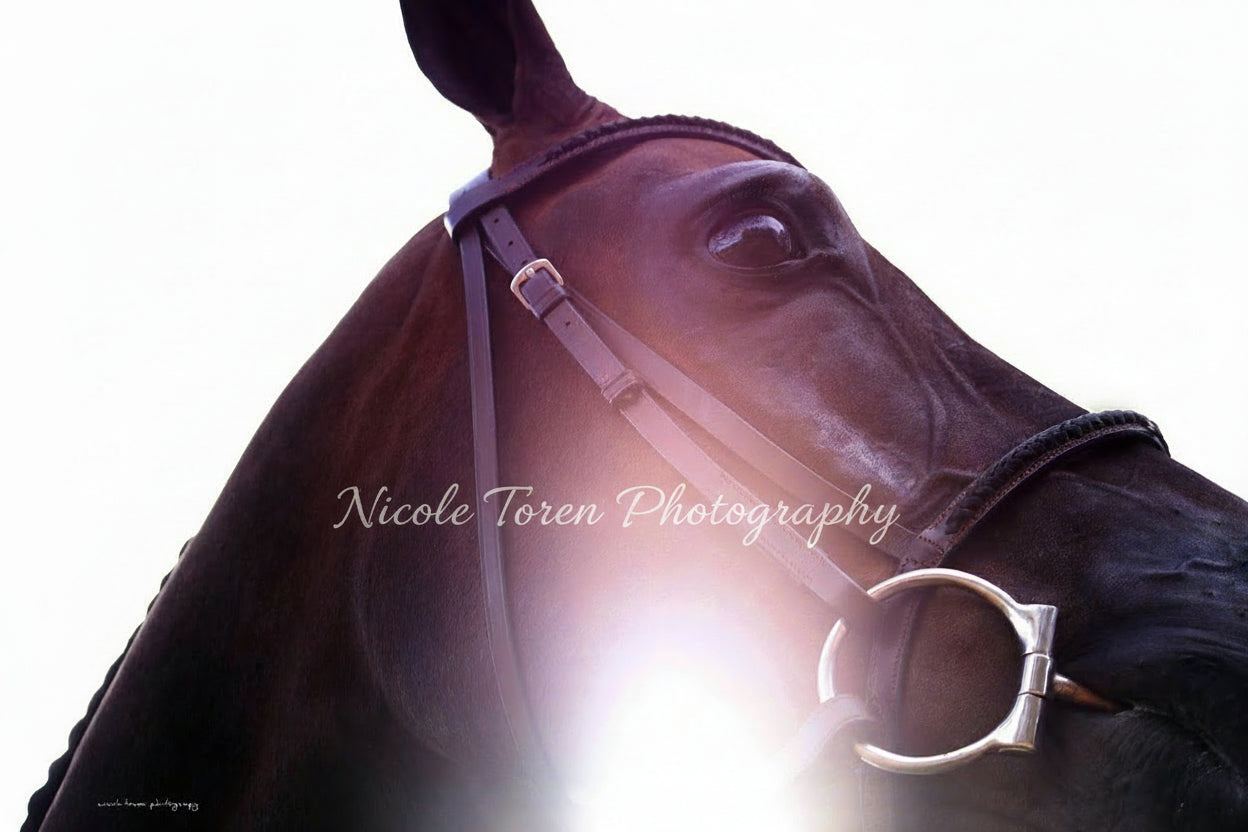 Contemplating Victory